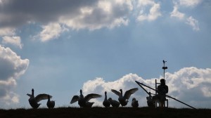 Agnes-Meyer-Brandis-THE-MOON-GOOSE-ANALOGUE